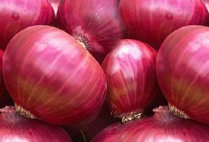 Fresh Onion